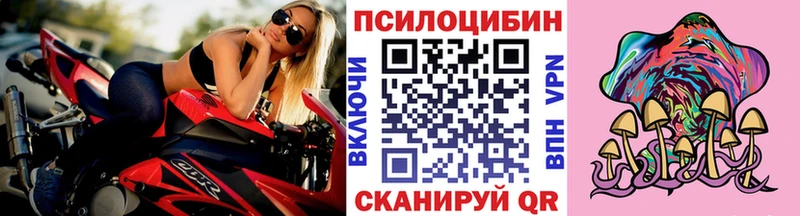 Псилоцибиновые грибы прущие грибы  MEGA зеркало  Коммунар  купить наркоту 